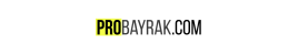 ProBayrak.com ProBayrak.com